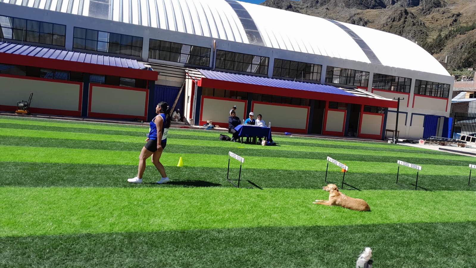 Educación Física 3